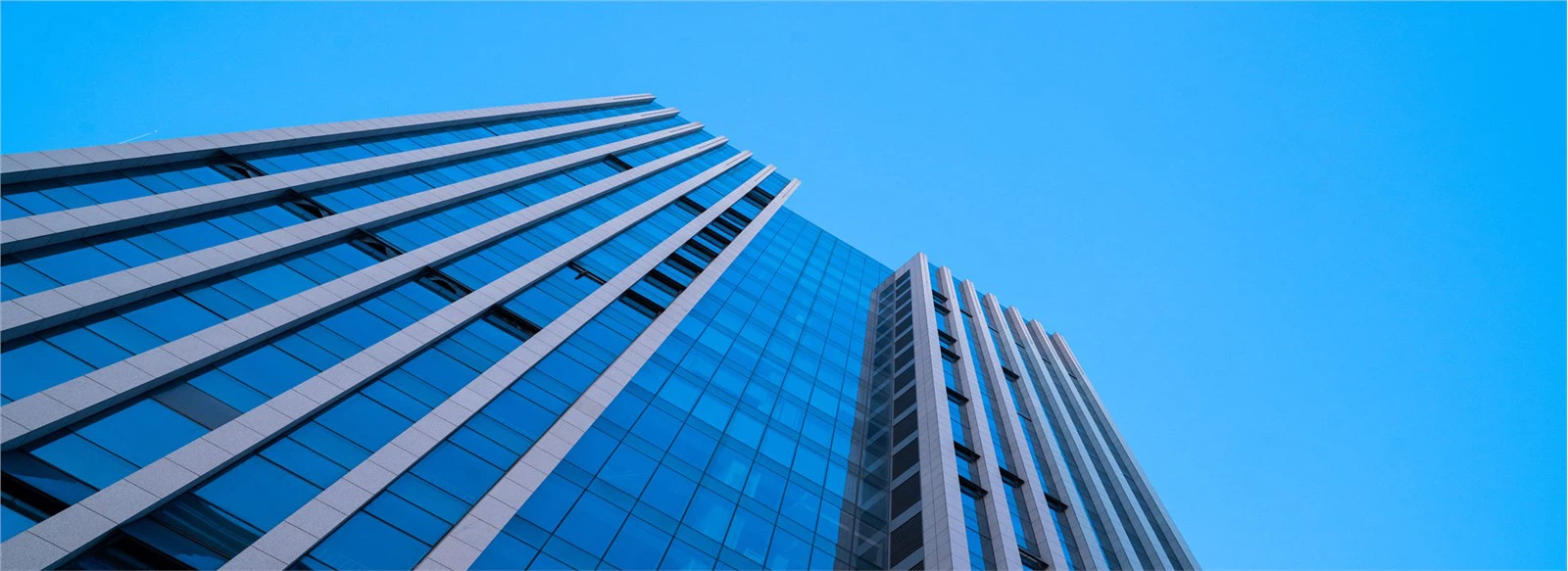 Shandong  Jingqin  Inpakken  Producten  Co., Ltd
